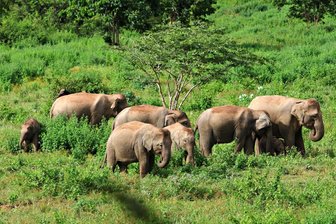 Parc national de Kui Buri