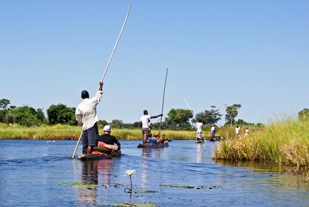 Pourquoi choisir le Botswana pour un voyage en Afrique ?