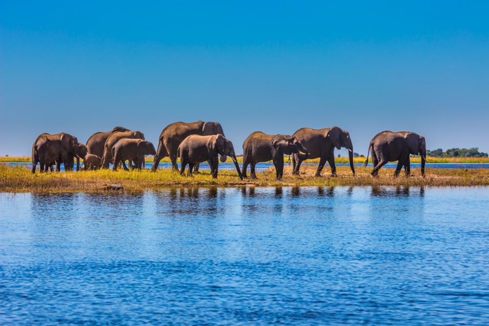 Voyage photo au Botswana : les meilleurs spots